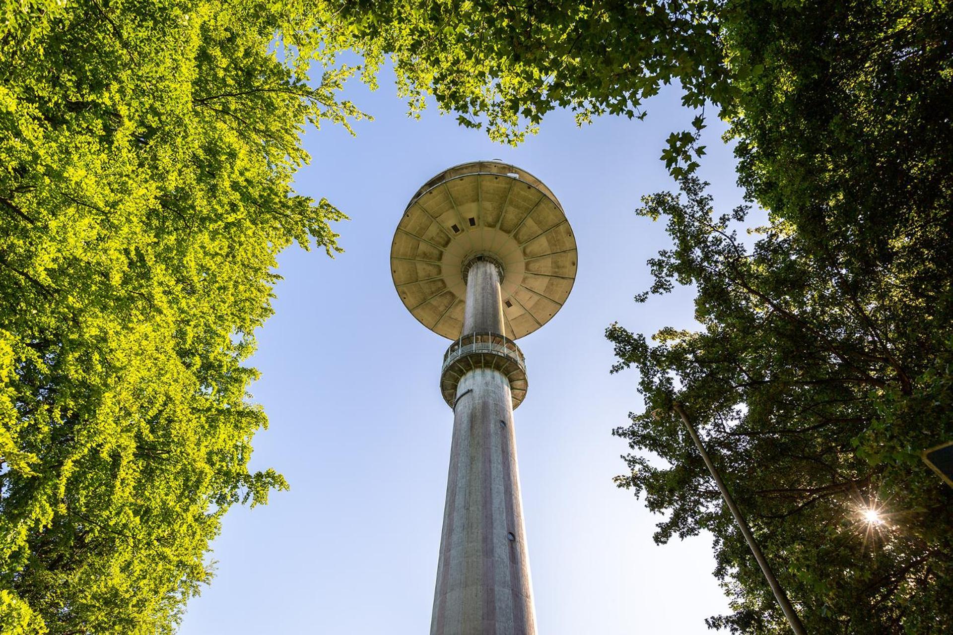 Ferienhaus Am Moenchneversdorfer See Schonwalde am Bungsberg Exteriör bild